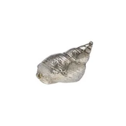 Spiral Shell Ornament (S)