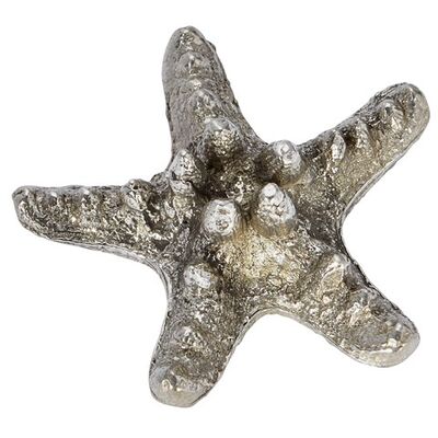 Starfish Shell Ornament