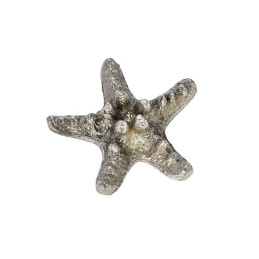 Starfish Shell Ornament