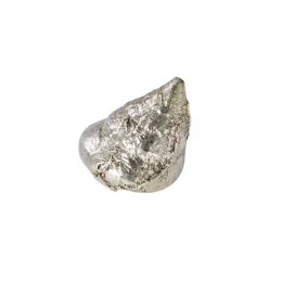 Top Shell Ornament