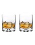 Dimple Base Whisky Glass