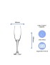 Argon Champagne Flute