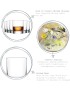 Ada Whisky Glass