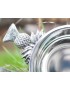 Thistle Handle pewter Quaich