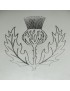 Round Pewter Thistle Flask