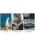 Juniper Gin Balloon Glass