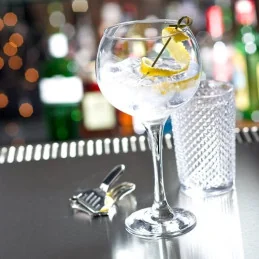 Ambassador Balloon Gin Glass
