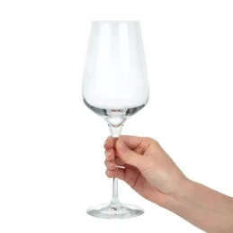 Sublym Wine Glass
