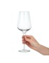 Sublym Wine Glass