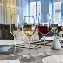 Sublym Wine Glass