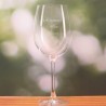 Giant Wine Glass