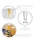 Palladio Beer Glass