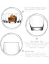 Adora Whisky Glass