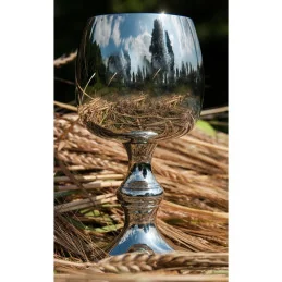 Tulip Shaped Pewter Goblet