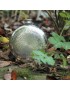 Round Sunfish Pewter Flask