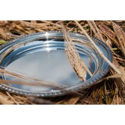 Gadroon Rim Pewter Tray Small