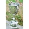 Bullet Pewter Trophy