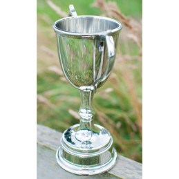 Bullet Pewter Trophy