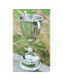 Bullet Pewter Trophy