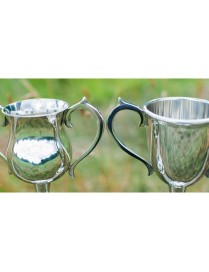Bullet Pewter Trophy