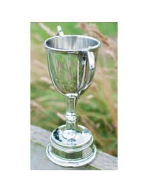 Bullet Pewter Trophy