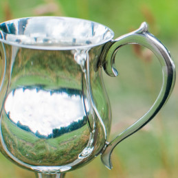 Bullet Pewter Trophy