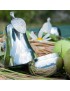 Pear Pewter Trinket Box
