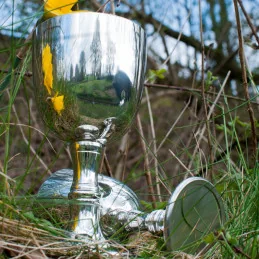 Red Wine Pewter Goblet