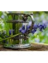 Half Pint Double Celtic Band Pewter Tankard