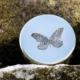 Single Butterfly Pewter Trinket Box