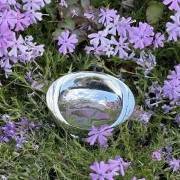Silver Plated Quaich (5 inch)