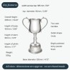 Georgian Large Pewter Trophy