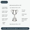 Georgian Medium Pewter Trophy