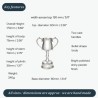 Georgian Small Pewter Trophy