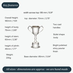 Replica Bullet Trophy