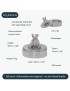Teddy Bear Pewter Trinket Box