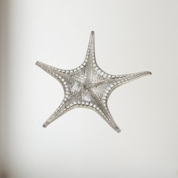 Fancy Starfish Pewter Shell Ornament (L)