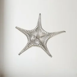 Fancy Starfish Pewter Shell Ornament (L)