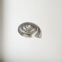 Flat Spiral Pewter Shell Ornament (L)