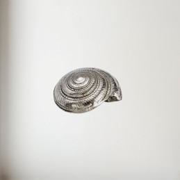 Flat Spiral Pewter Shell Ornament (L)