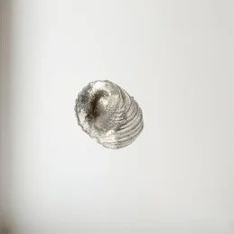 Flat Spiral Pewter Shell Ornament