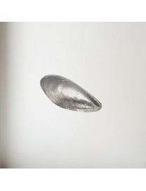 Mussel Pewter Shell Ornament
