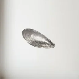 Mussel Pewter Shell Ornament