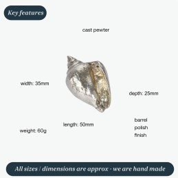 Sea Snail Shell Ornament (L)