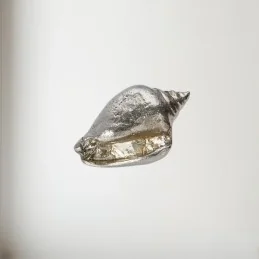 Sea Snail Pewter Shell Ornament (L)