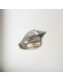 Sea Snail Pewter Shell Ornament (L)