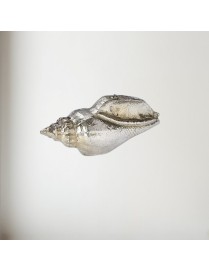 Sea Snail Pewter Shell Ornament (M)