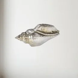 Sea Snail Pewter Shell Ornament (M)