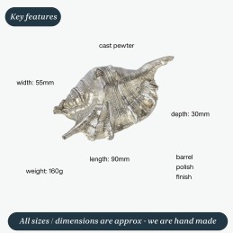 Spider Conch Shell Ornament
