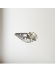 Spiral Pewter Shell Ornament (M)